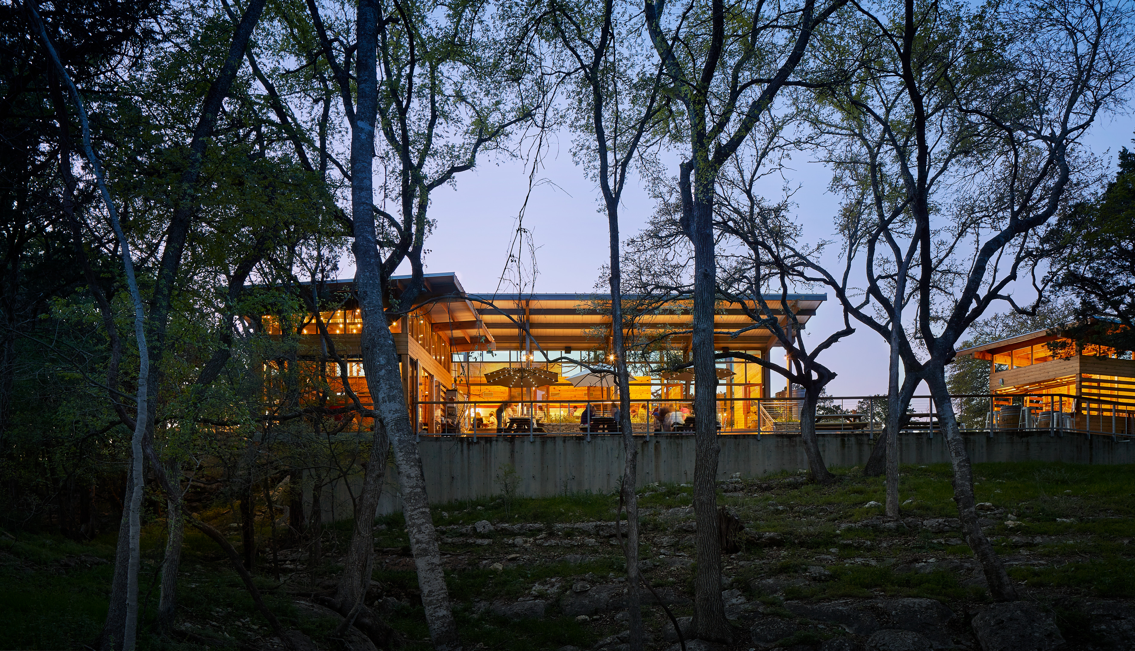 A well-lit modern building with large windows, surrounded by trees at dusk, stands like an auto draft of architectural brilliance. The interior appears to be occupied, creating a warm contrast to the darkening exterior.