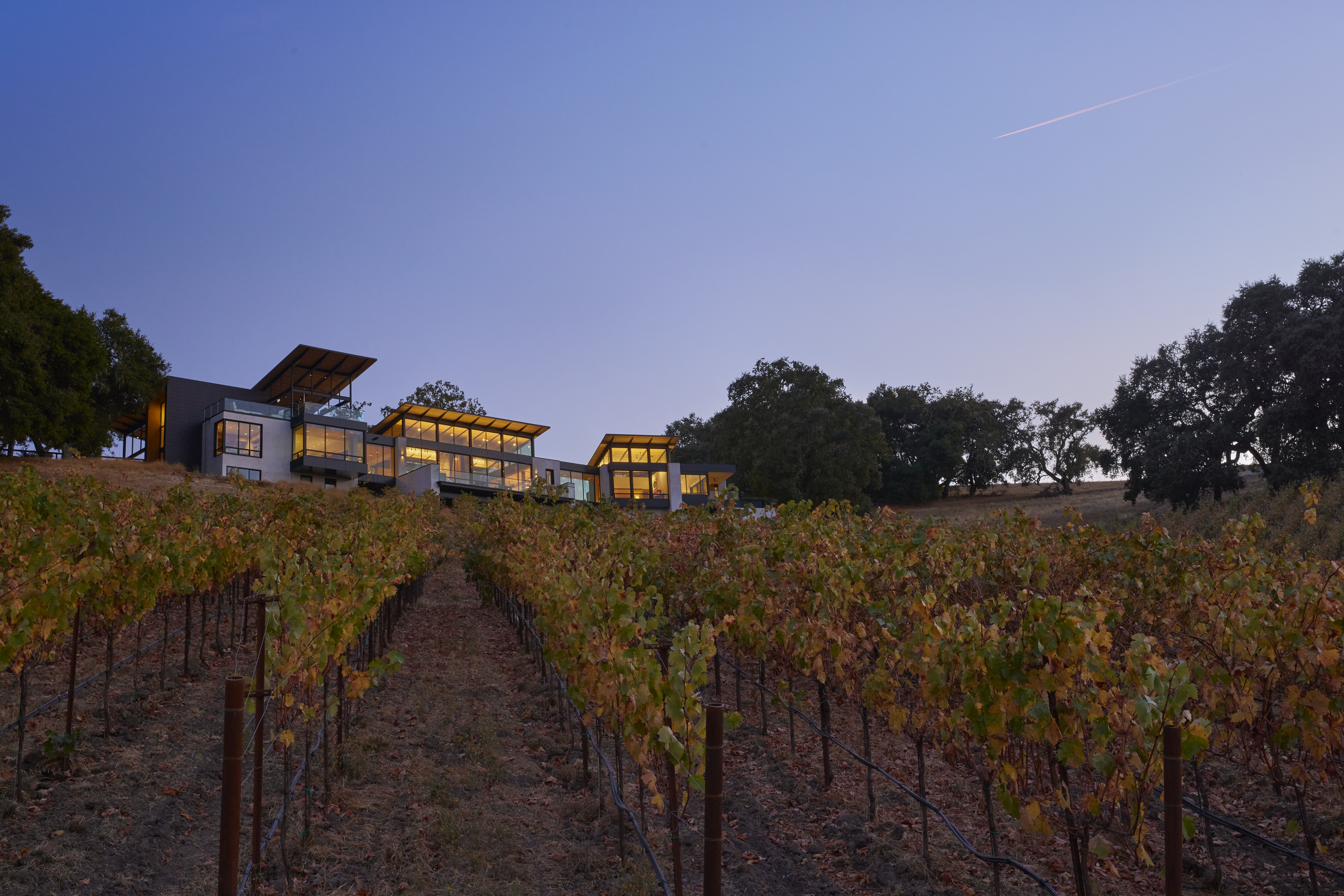 Modern house with large windows and illuminated interior sits atop a hill overlooking MoonSprings Vineyard at dusk, with trees and a clear sky in the background.