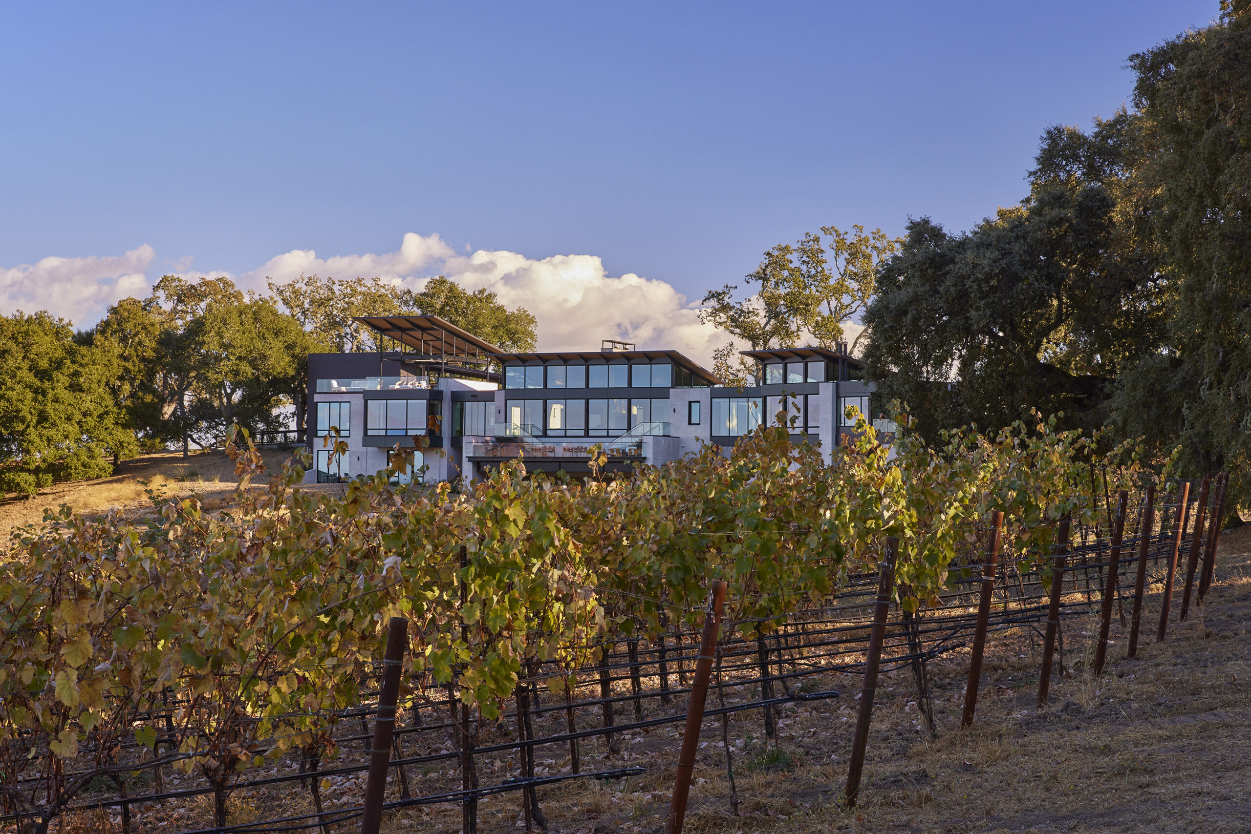 MoonSprings Vineyard®