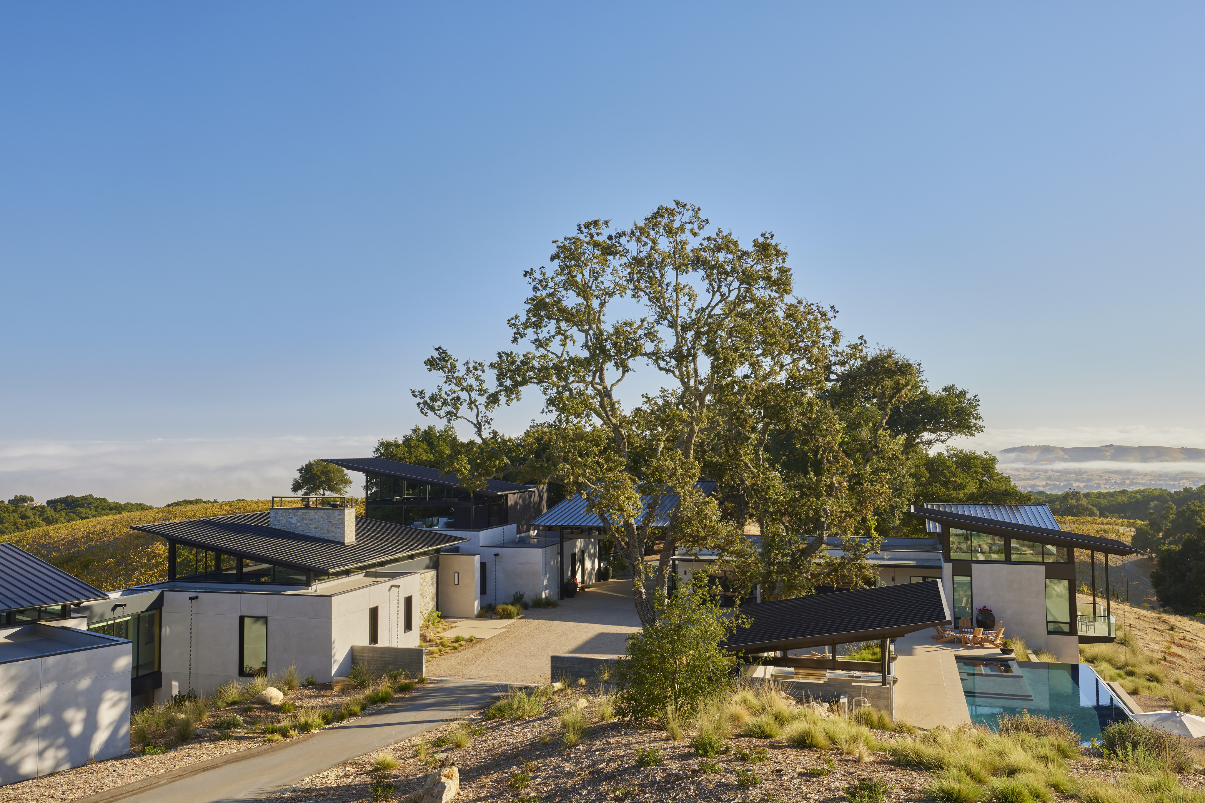 Modern hillside home with flat roofs, large windows, and an outdoor pool nestled among trees under a clear blue sky, offering panoramic views of MoonSprings Vineyard.